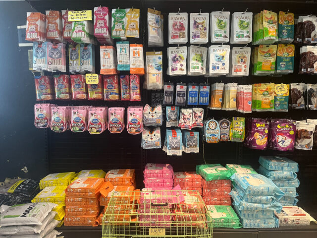 20250419 Bali Pet Shop Photo by Dreamer Meng 9563 20250419 Bali Pet Shop Photo by Dreamer Meng 9563