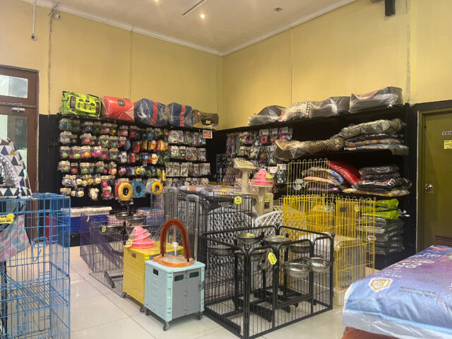 20250419 Bali Pet Shop Photo by Dreamer Meng 9571 20250419 Bali Pet Shop Photo by Dreamer Meng 9571