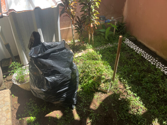 20250427 Pulling Weeds Photo by Dreamer Meng